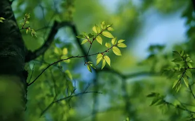 Gabinet Psychoterapii - Edyta Baran